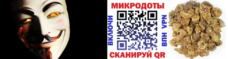 KRAKEN ссылки  Петрозаводск  Псилоцибиновые грибы прущие грибы 