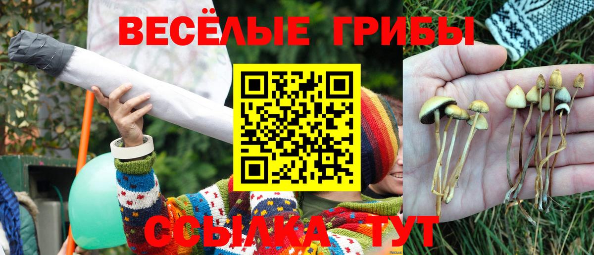 цена наркотик  Вход с VPN  Петрозаводск  Псилоцибиновые грибы Psilocybe 