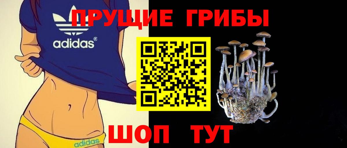 Псилоцибиновые грибы мицелий Петрозаводск