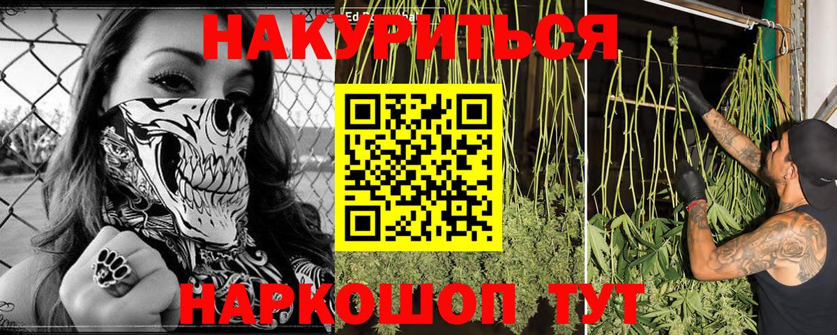 Марихуана ГИДРОПОН  Бошки Шишки OG Kush  Конопля SATIVA & INDICA  Петрозаводск  Вход с VPN 